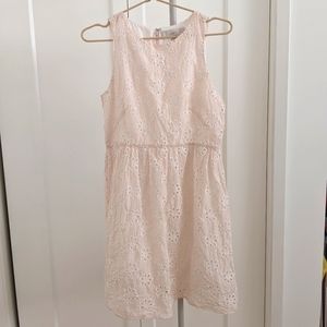 Ann Taylor Loft Petite Eyelet Daisy Embroidery Dress